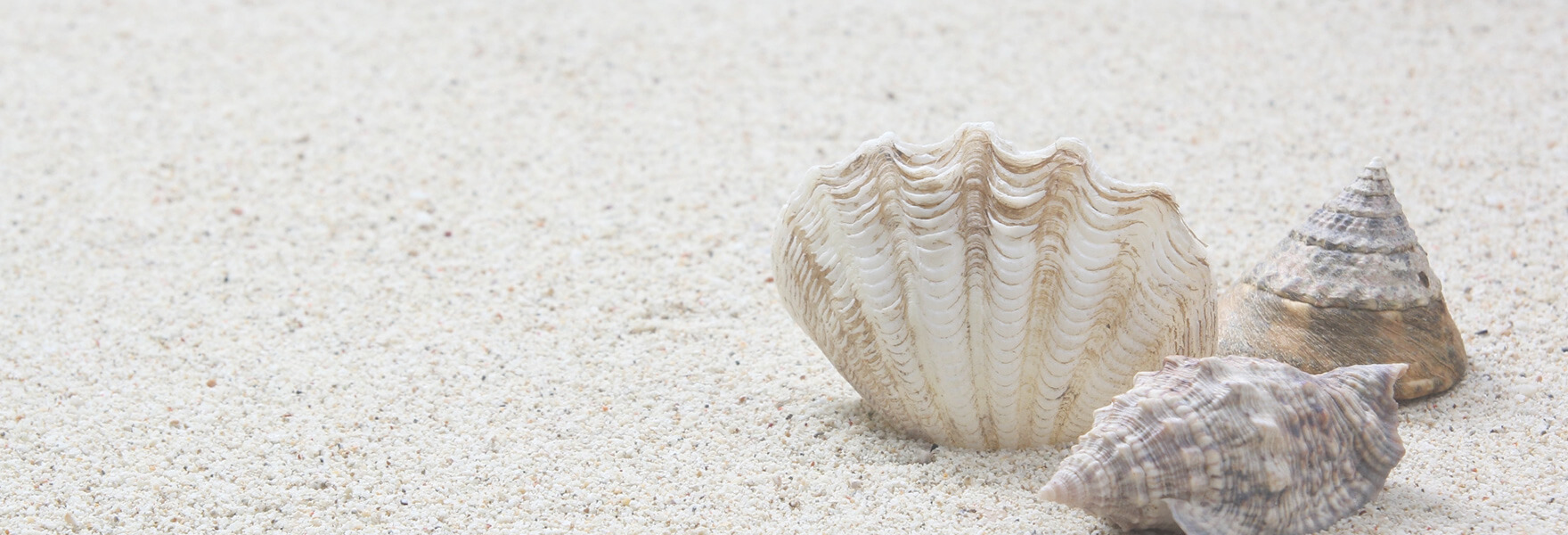 Re:mix リミックス